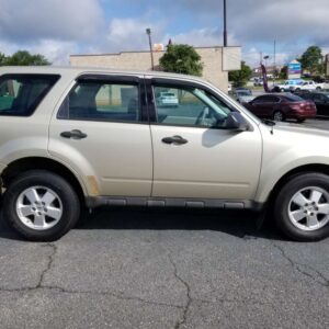 2011 Ford Escape ( gold)