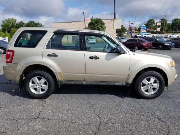 2011 Ford Escape ( gold)