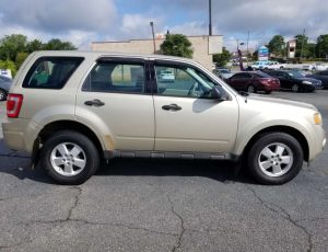 2011 Ford Escape ( gold)